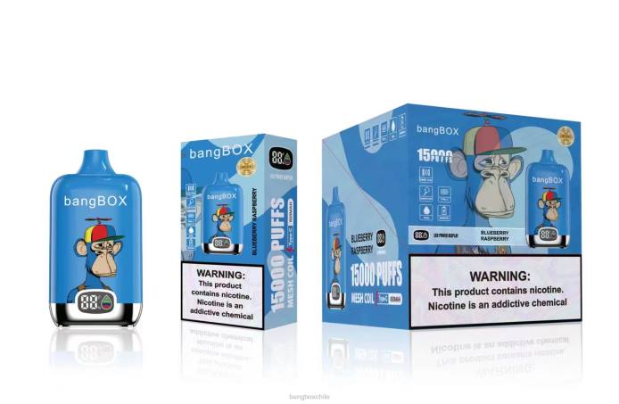 Bang Box Chile - 800046 Bang Box 15000 bocanadas frambuesa arándano