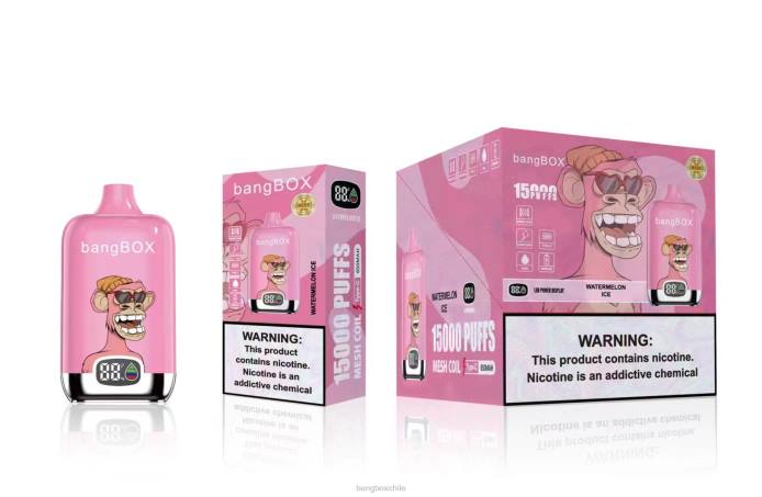 Bang Box Precio - 800045 Bang Box 15000 bocanadas hielo de sandia